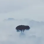 La Foresta Di Sopra Konukevi 3*