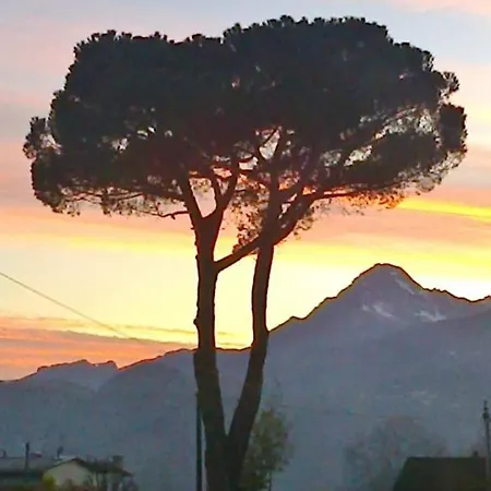 La Foresta Di Sopra 3* 巴尔加