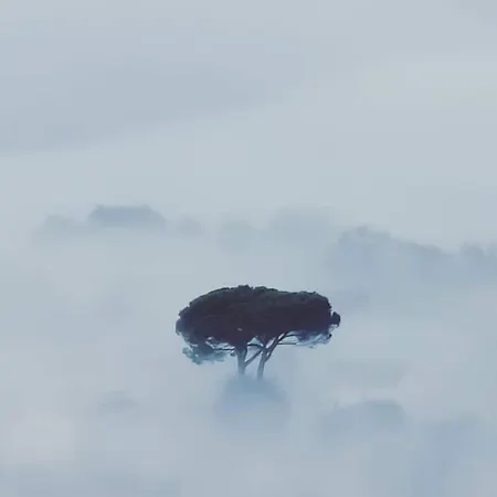 La Foresta Di Sopra 招待所 3*