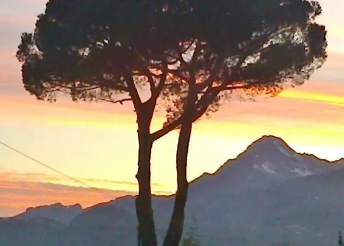La Foresta Di Sopra 3* Barga
