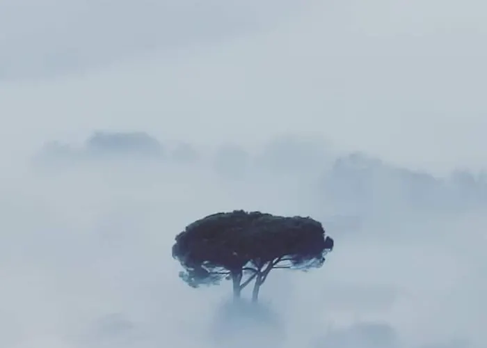 La Foresta Di Sopra Affittacamere 3*