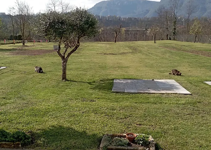 Affittacamere La Foresta Di Sopra