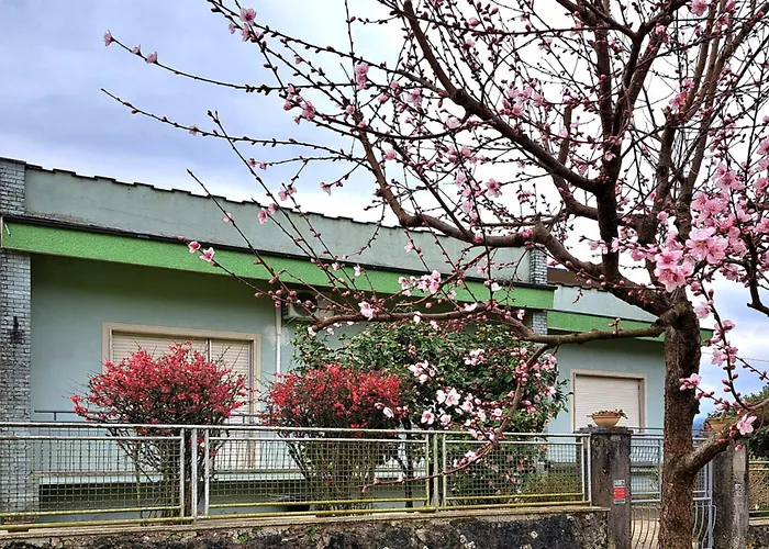 La Foresta Di Sopra 3*